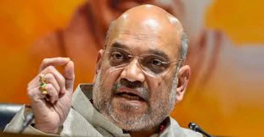 Amit Shah hoists the Tricolour at his residence in New Delhi as part of the ‘Har Ghar Tiranga’ campaign