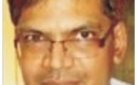 Gopal Meena Appointed Development Commissioner of Noida Special Economic Zone