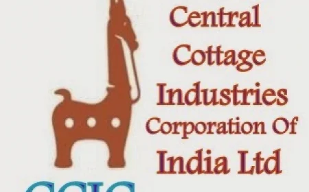 PESB Picks Bimal Gopalachari to Head Central Cottage Industries Corporation