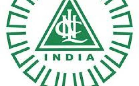 PESB Recommends DVC's Chaitanya Prakash for Director (Power) at NLC India