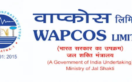 PESB Recommends Tarun Kumar Chopra for Director (Finance), WAPCOS