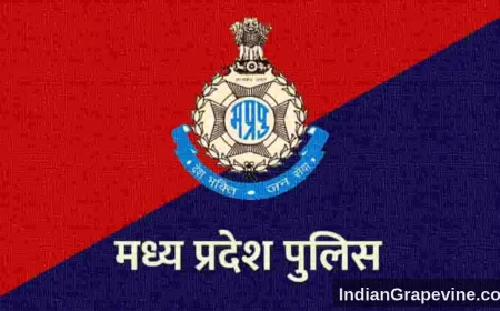 Who Will Be Madhya Pradesh's Next Intelligence Chief? Four IPS Names in Circulation