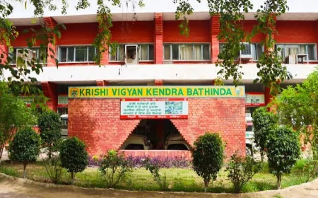 Krishi Vigyan Kendras Set for Shift Towards Research, Incubation and Farmer Skills