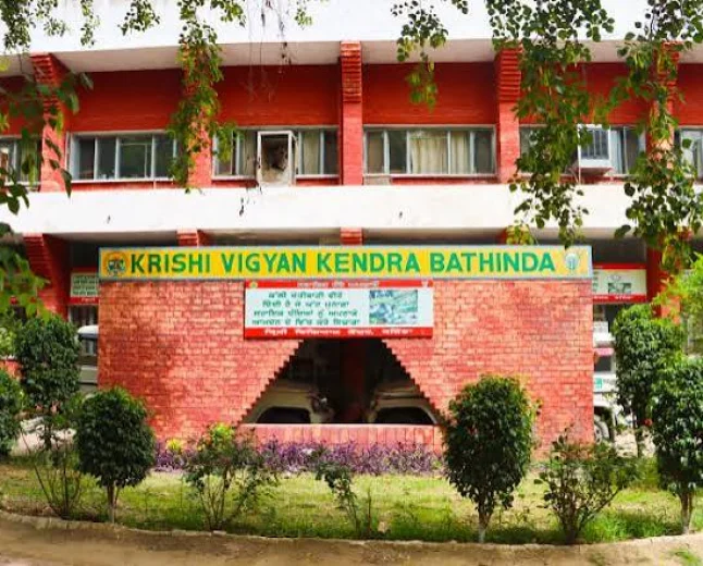 Krishi Vigyan Kendras Set for Shift Towards Research, Incubation and Farmer Skills