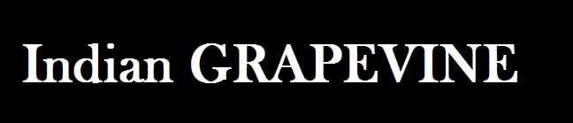 Application Name Logo